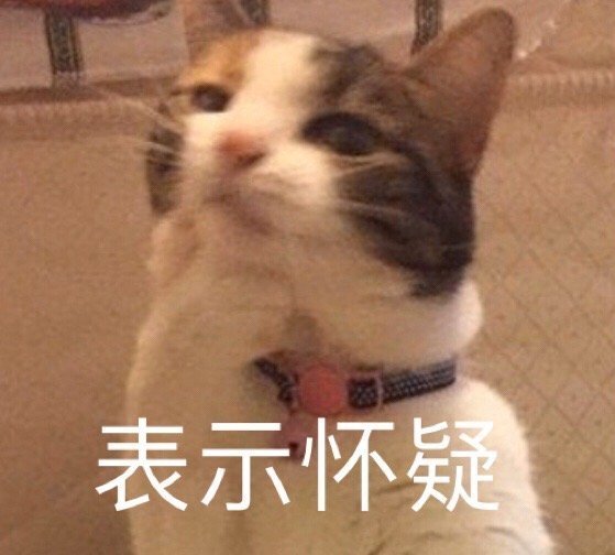 猫咪表情包合集｜老子可爱吗？