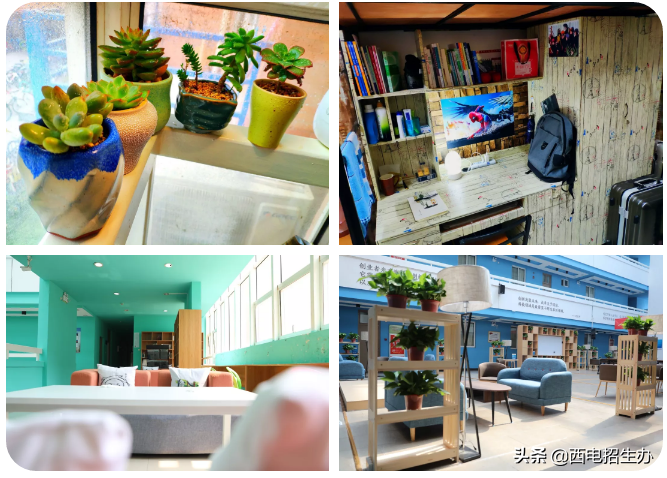 冲上热搜！央视、新华社、人民日报密集报道陕西这所大学