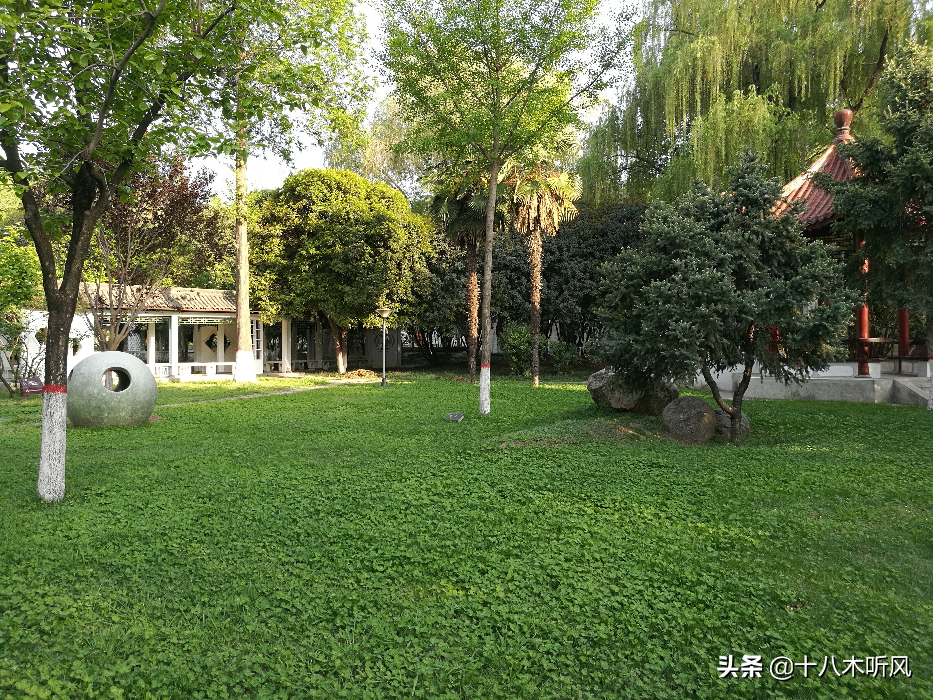 读大学做到这几点，大学时光将会成为你最美的青春记忆