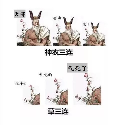 中医学生专用表情包合集｜放心，哥是老中医