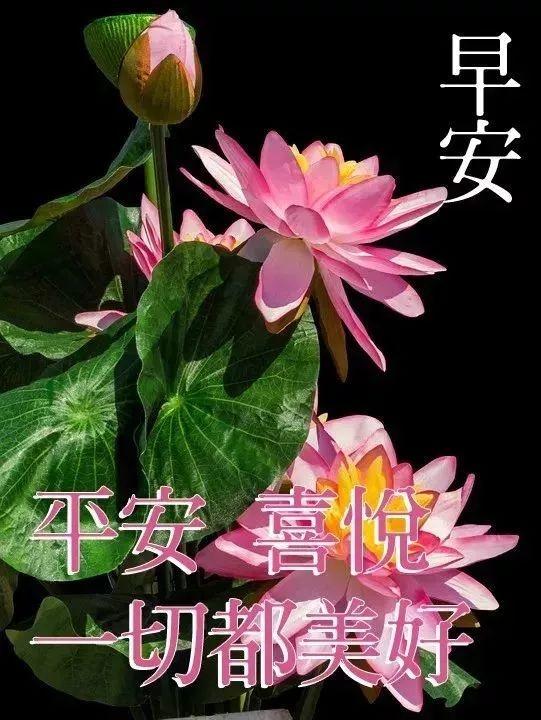 冬天早安问候语句子，天冷了注意保暖的祝福语