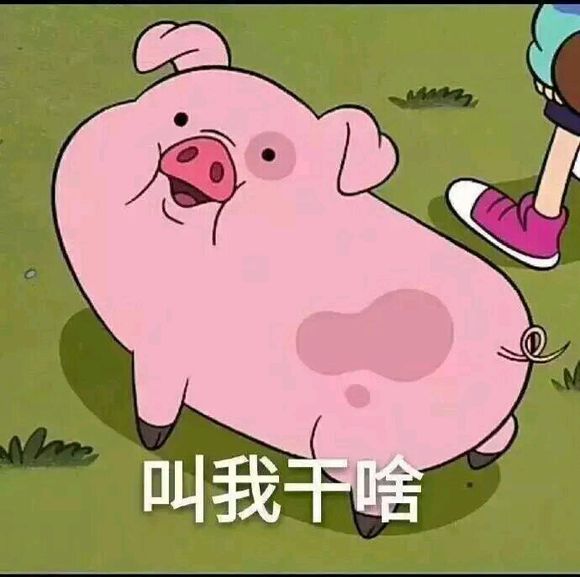关于猪的卡通表情包：乖巧的像只小猪仔