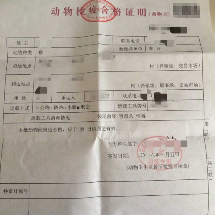 车票开抢，主人与猫咪都要回家？应知宠物托运的两大注意点