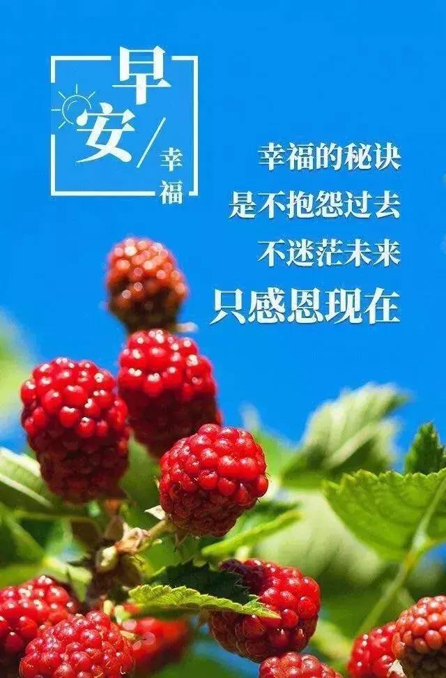 自律正能量的早安句子：一切无心插柳，其实都是水到渠成