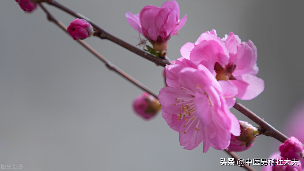 畏寒怕冷，脚心出汗，经常干呕型肾虚，中医如何调理？
