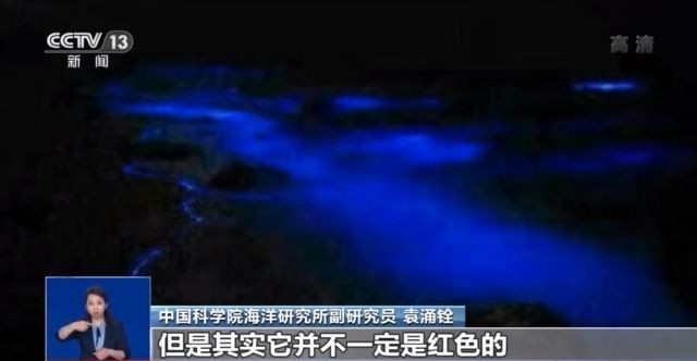 海胆什么人不能吃(日本北海道出现“红色幽灵”，90%海胆死亡，未来5年或无海胆可捞)