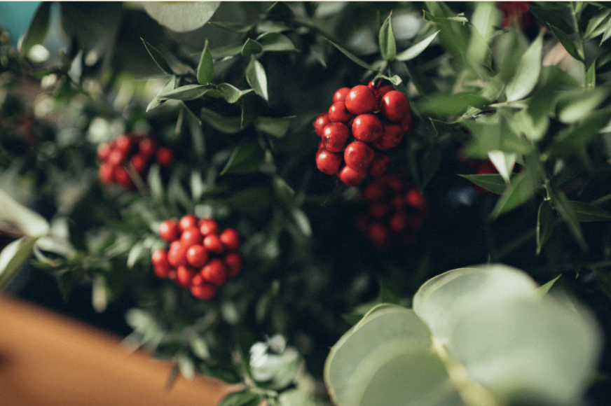 无性婚姻，只能忍吗？性冷淡的原因其实和“性能量压抑”有关