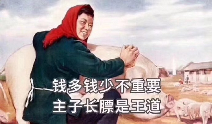 铲屎官表情包：一猫在手，自信我有