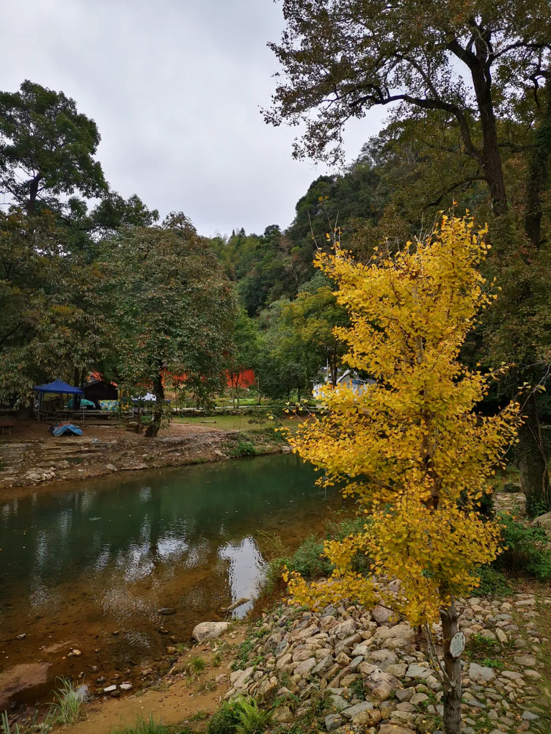 消费宣传走进九峰村