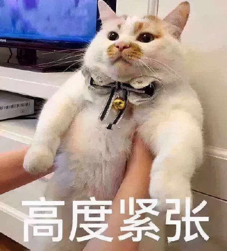 在城大旁的电影院看三级片是什么体验？