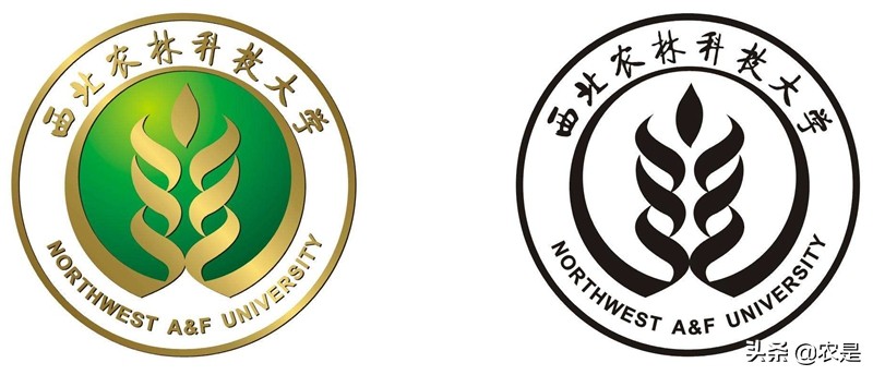 王小龙，教授，博导，西北农林科技大学，羊业专家