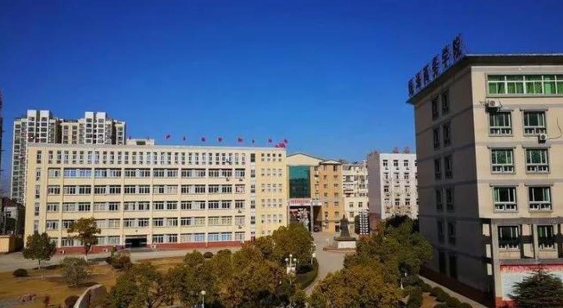 专科填报志愿，要注意哪些问题？注意这3点，可避免踩坑