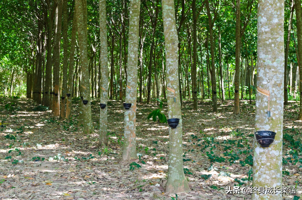 《论语》谈人际关系：仁者爱人，礼之用和为贵