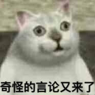 吃惊小猫表情包