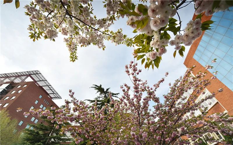 中央司法警官学院 近三年录取分数统计分析附2019年专业录取分数