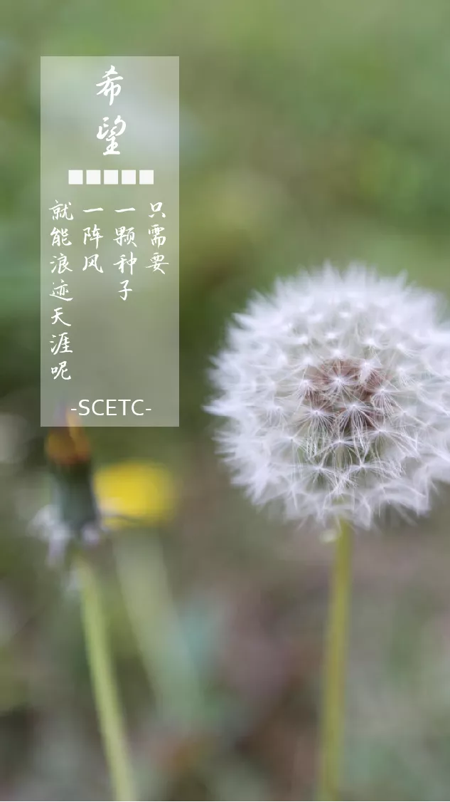 超好看！四川各高职院校专属壁纸，建议收藏