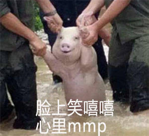 猪宝宝表情包：脸上笑嘻嘻，心里mmp