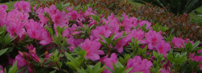 杭州电子科技大学2017部分省市录取分数