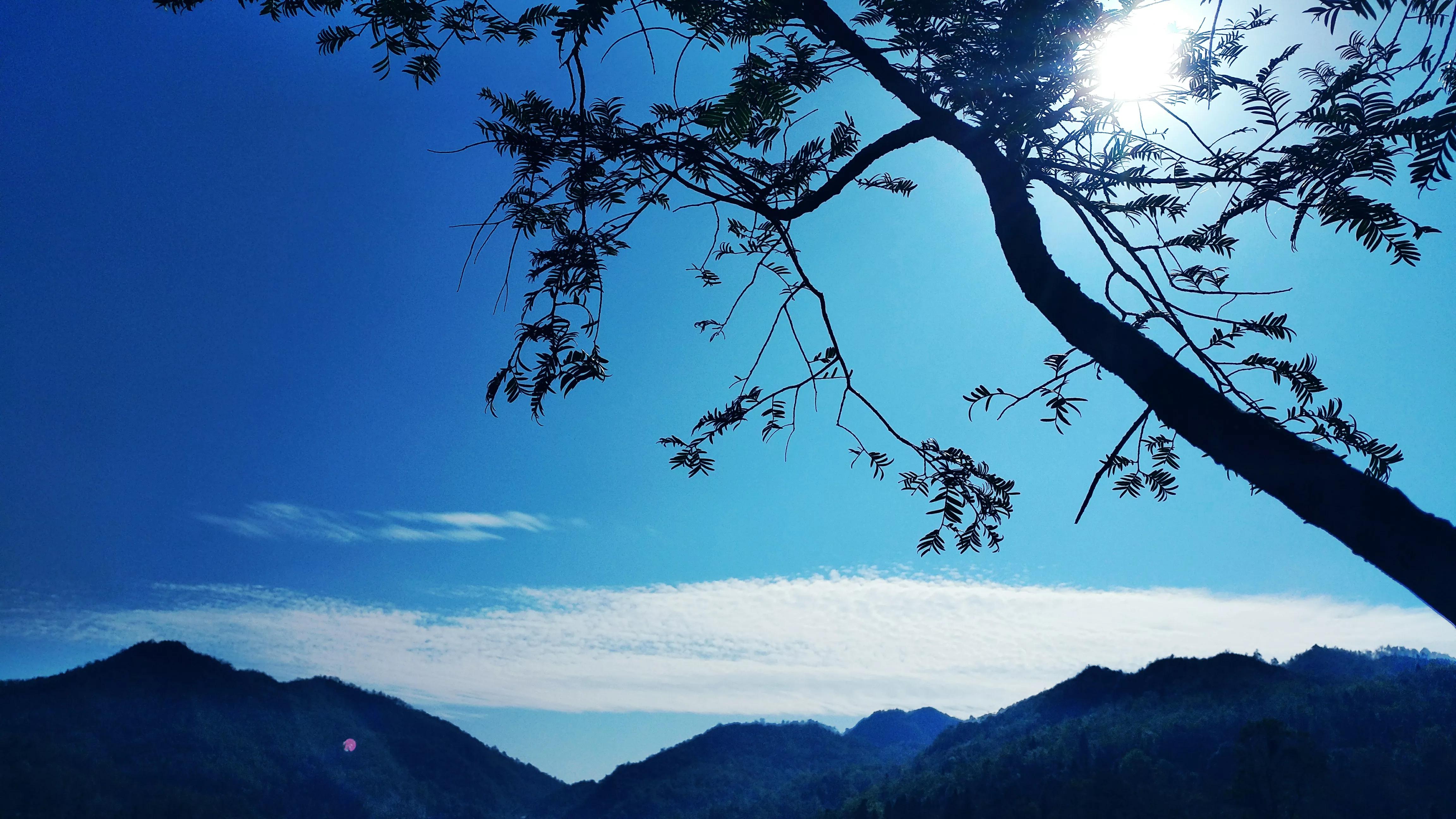 天气好的图片真实图片