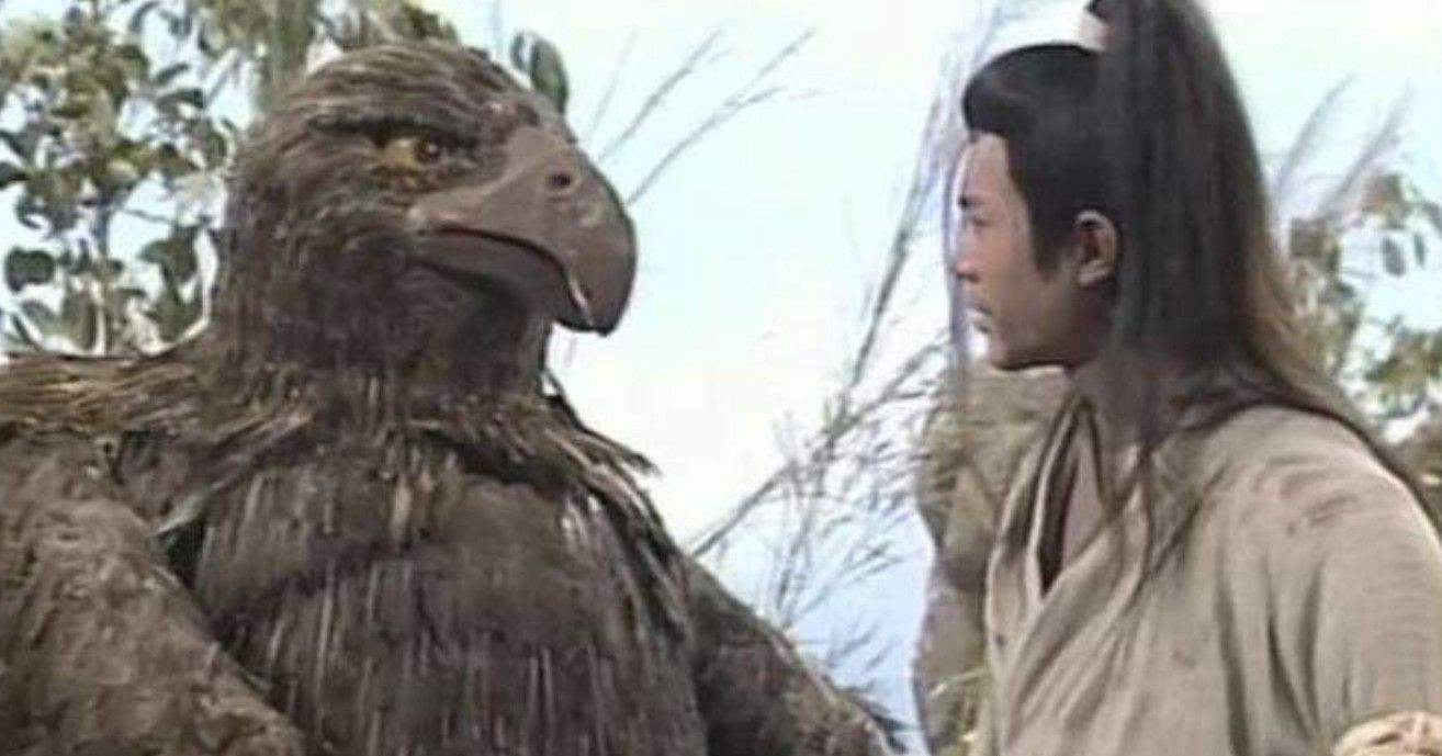 盘点史上最强大的10种鸟,恐鸟仅排第5,鹤鸵是仅存现代物种