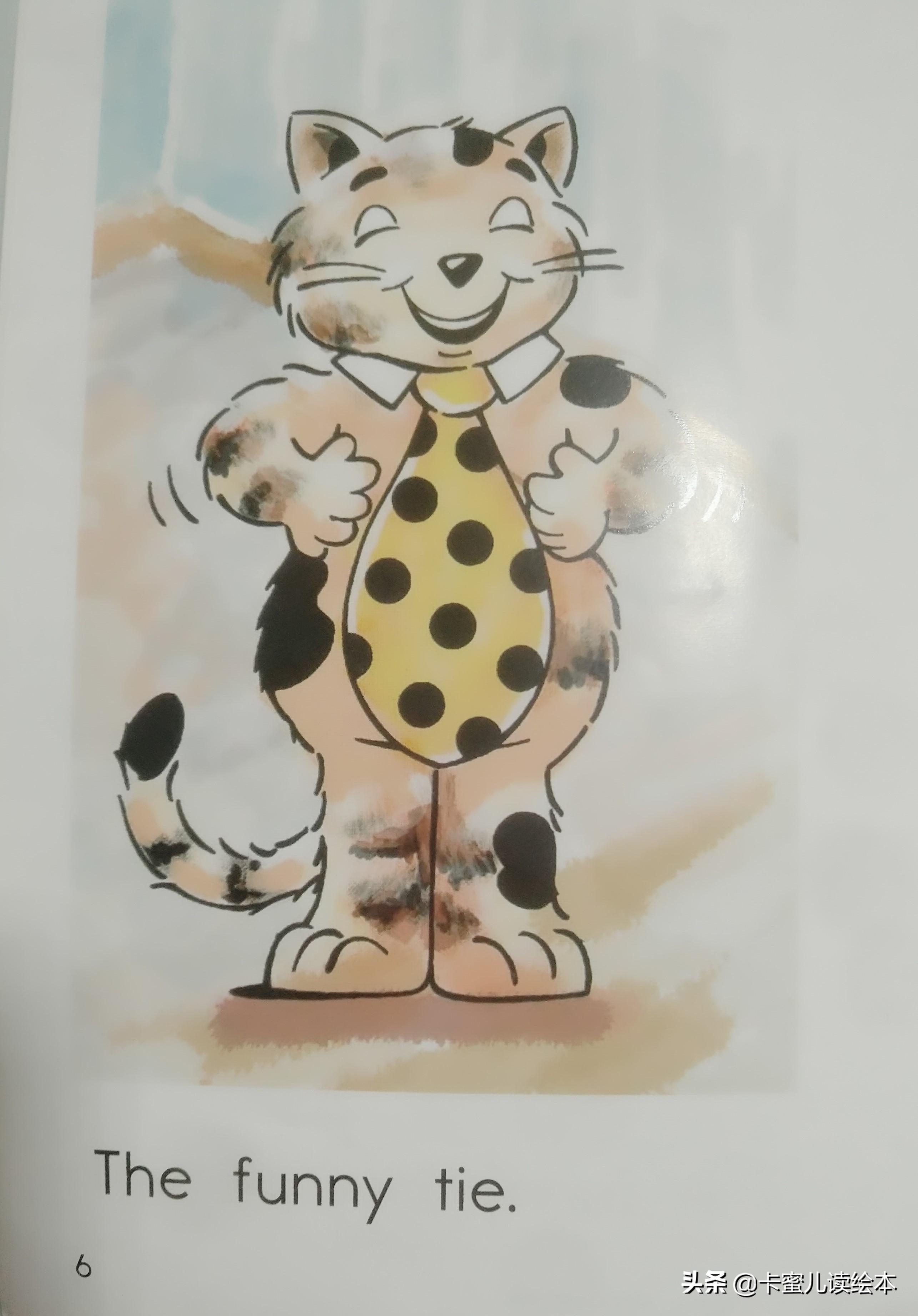 英文有声绘本故事《funny cat》有趣的猫