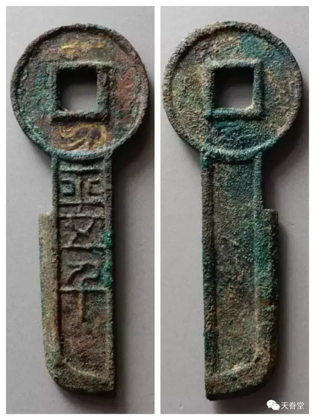 热门古钱的未来