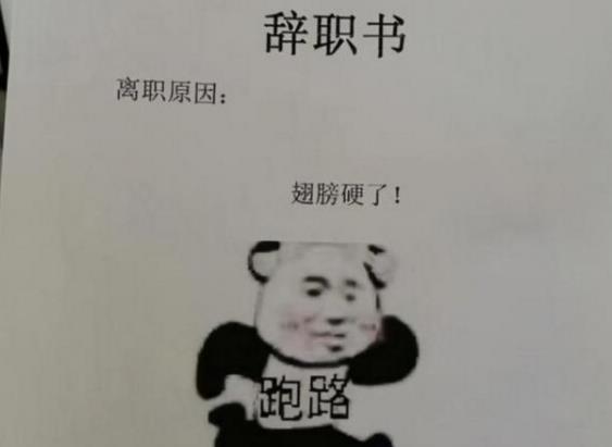 应届毕业生辞职信火了，离职原因简单直白，说出了打工人的心声