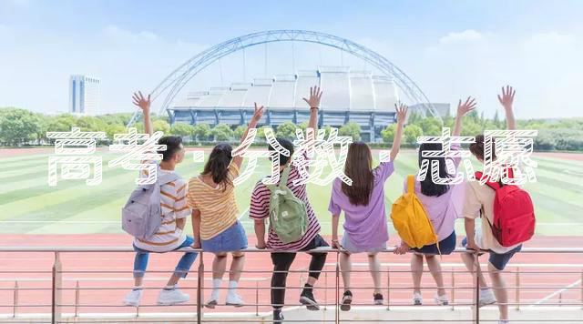 2019高考成绩查询时间表，各省预测分数线以及往年录取率......