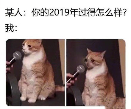 2019年跨年表情包合集｜希望今年是个平安快乐的一年