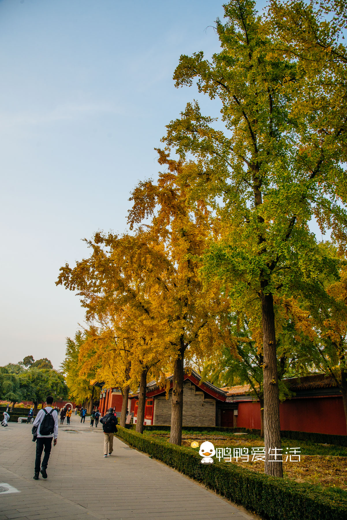 堆土而成曾是北京城的制高点，俯瞰故宫好去处，只要2元