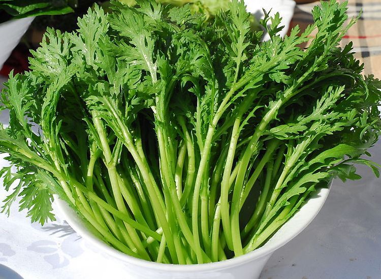 网友评选的10大最难吃食物，鲱鱼罐头只能屈居第二，冠军实至名归