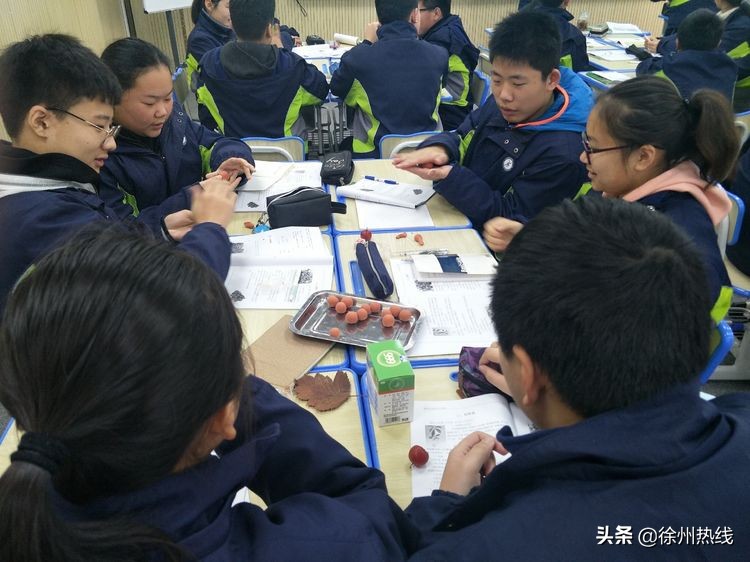 徐州三十一中举行江苏省首批初中生物学科发展示范中心启动仪式