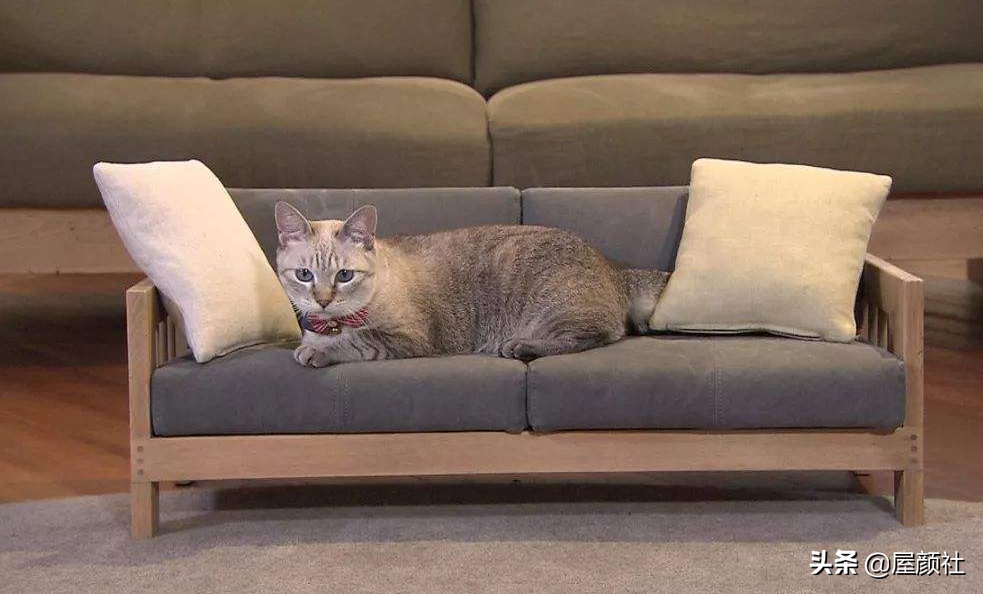 没有做不到只有想不到，猫奴国日本的定制系家居，撸猫也瑟瑟发抖