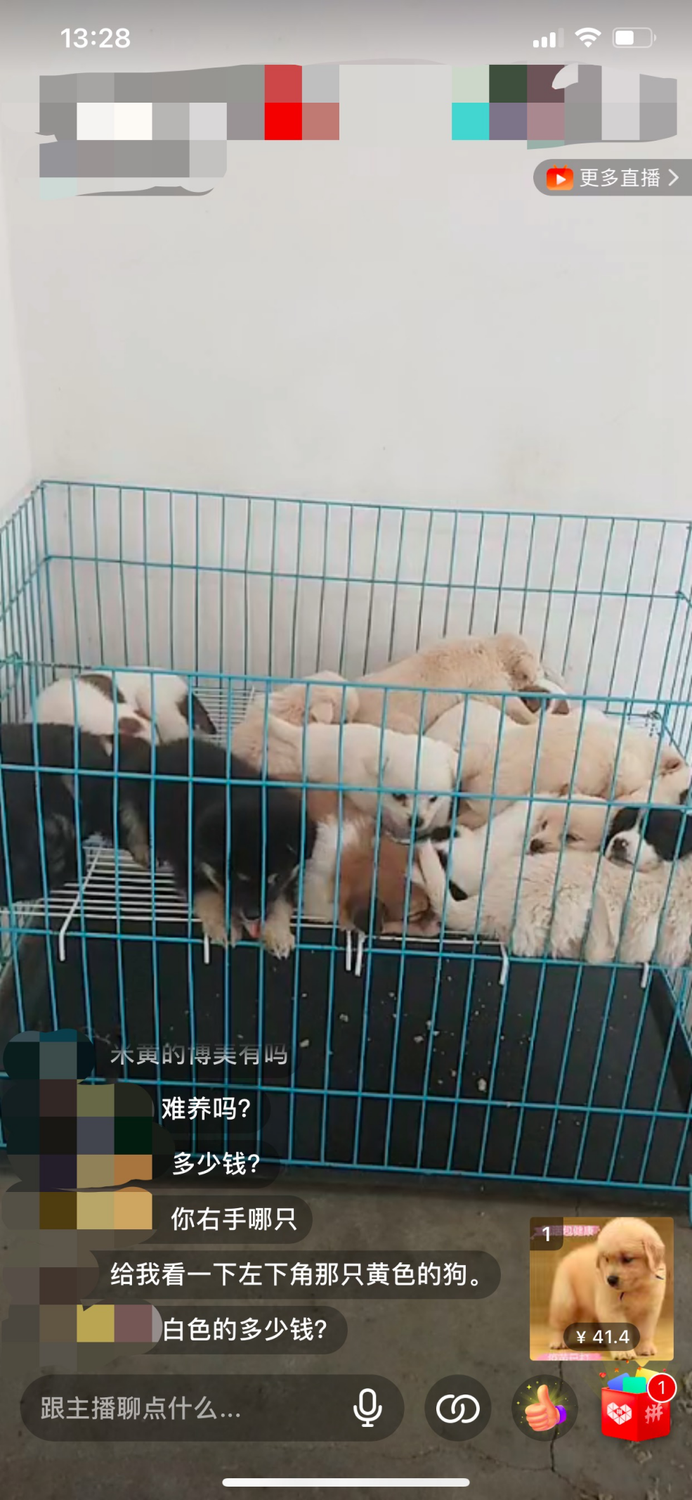 疯了！国内“宠物盲盒”狂卖，大批幼猫幼犬被塞箱活活憋死…