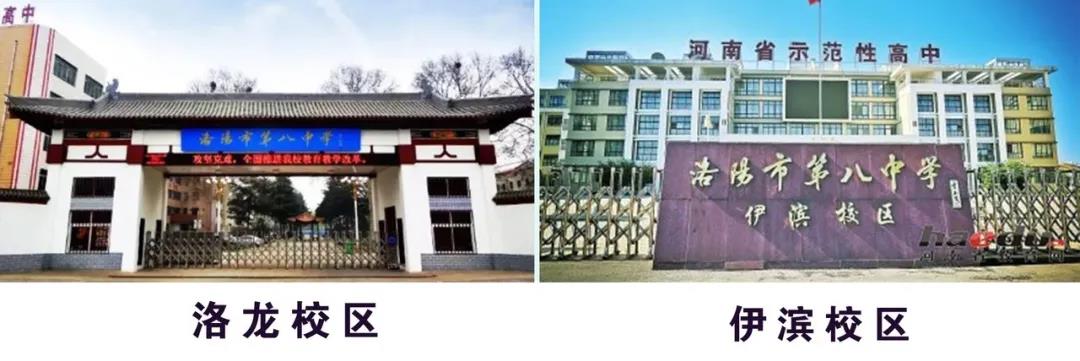 洛阳这个高中精英班，一本上线率竟能达100%