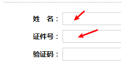 iOS14 中大幅提升生产力的苹果笔「涂文字」操作