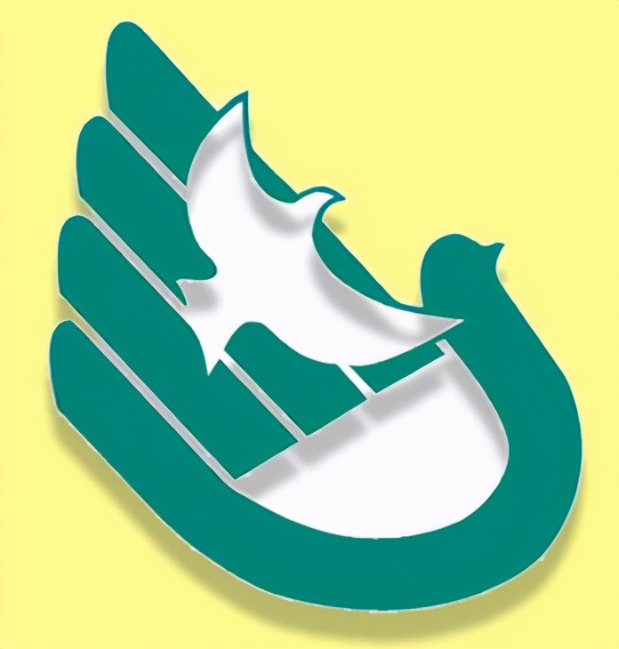 华附与华师附？广佛上学一文清晰区别