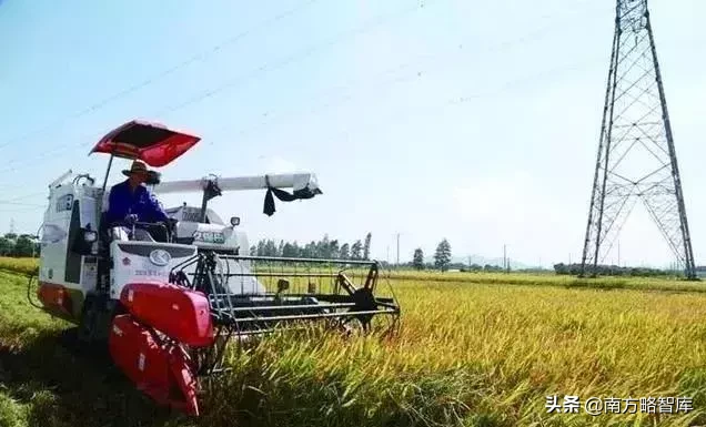 南方略刘祖轲：想说爱你不容易——细数制约农药连锁经营八大瓶颈