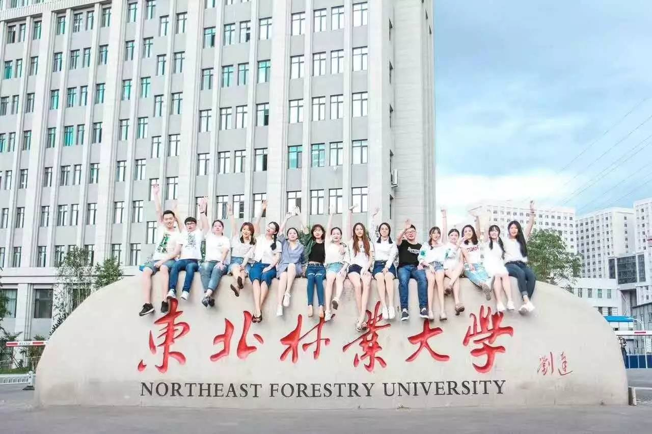 北京林业大学为林业大学翘楚，南林第二，东北林大降至第三