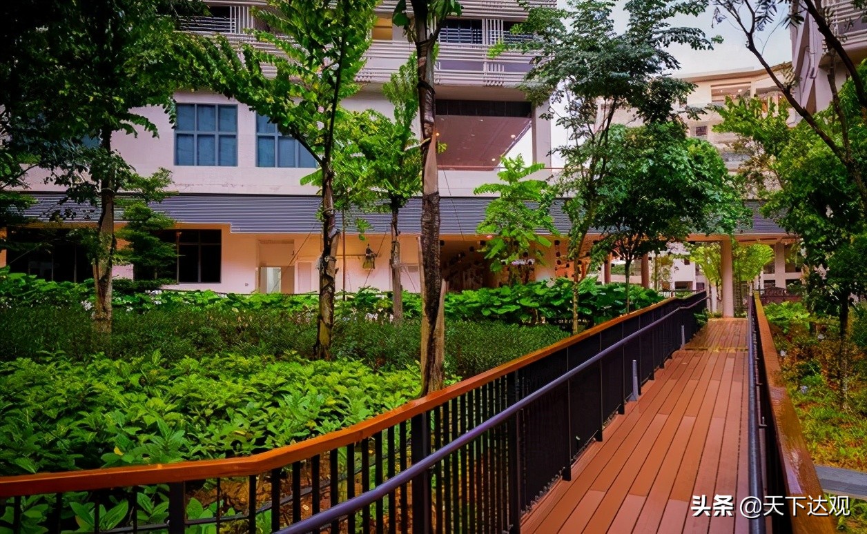 南洋理工大学｜新加坡的一所世界著名研究型大学，工科和商科并重