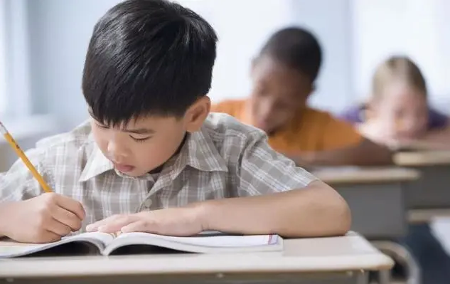 选择上公立的孩子，与上私立学校的孩子，差距是怎么拉开的？