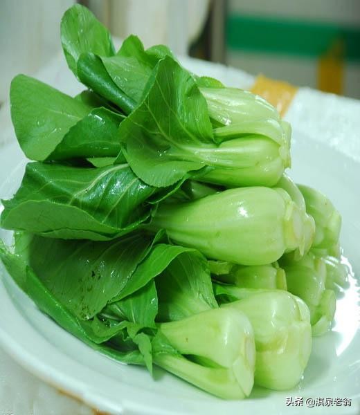 上海青菜种植时间和方法（上海青青菜的种植技巧）
