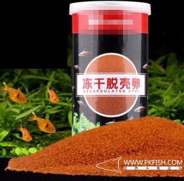 斗鱼怎么繁殖（中国斗鱼繁殖饲养详细教程）