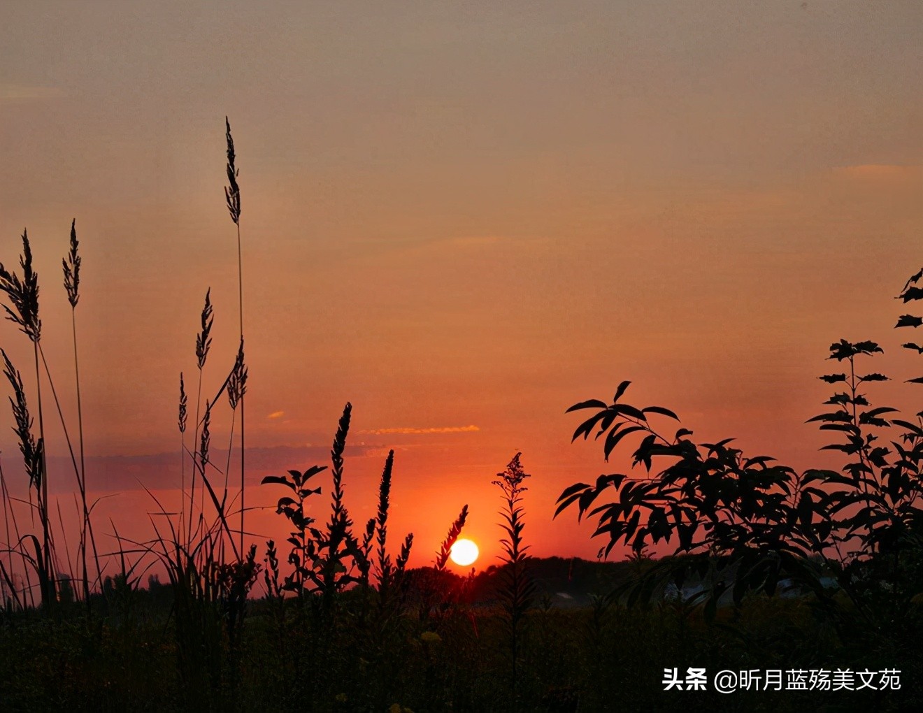 爱你如初，此生，有你足矣