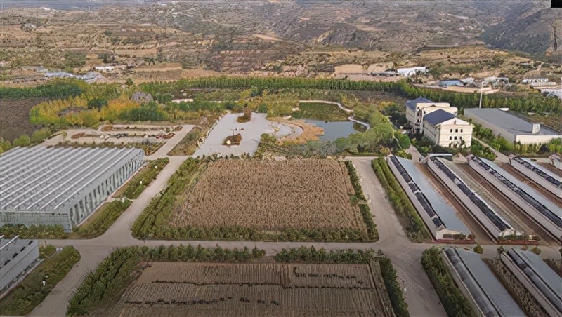 实探煤炭重镇吕梁：煤企转型“种地”？多个农业品牌已走向全国