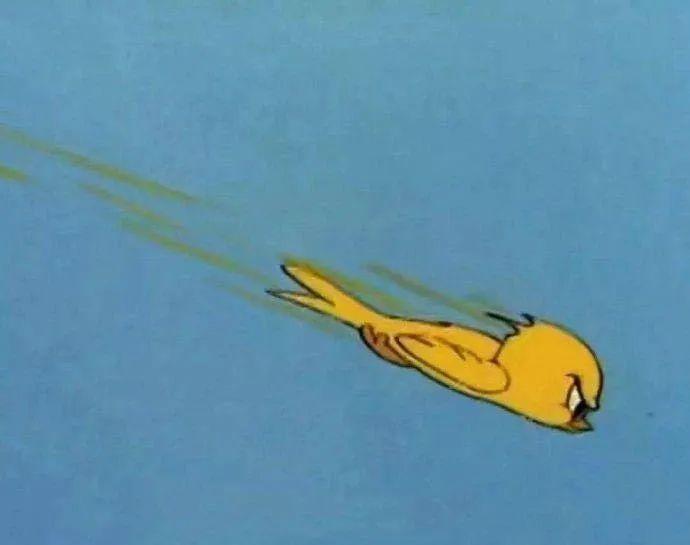 2017高考语文作文吐槽（这届网友对2020高考作文的吐槽）