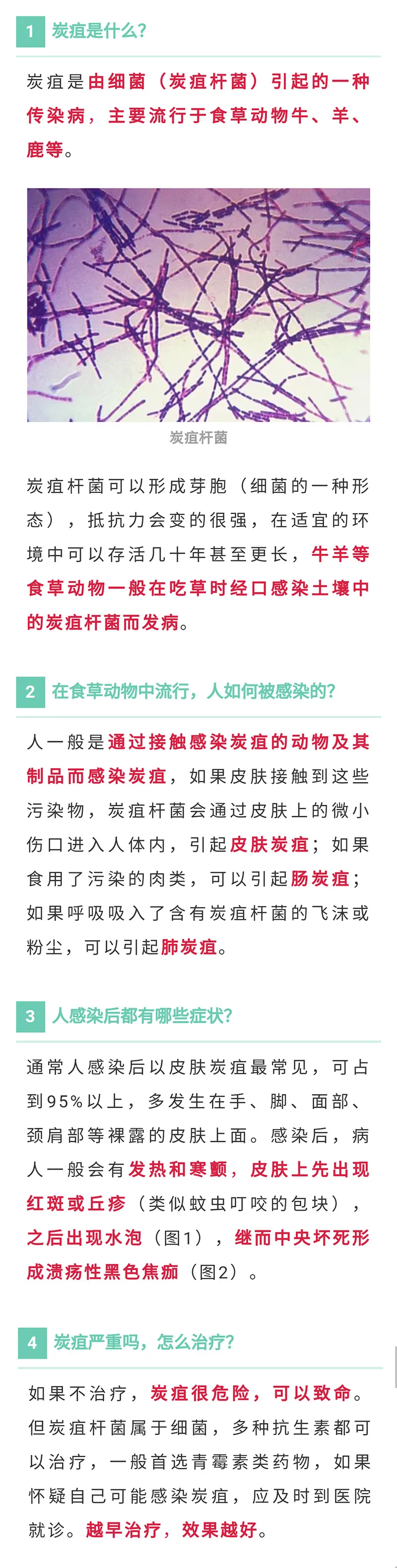 扬州生态科技新城招聘信息（新一轮核酸筛查）