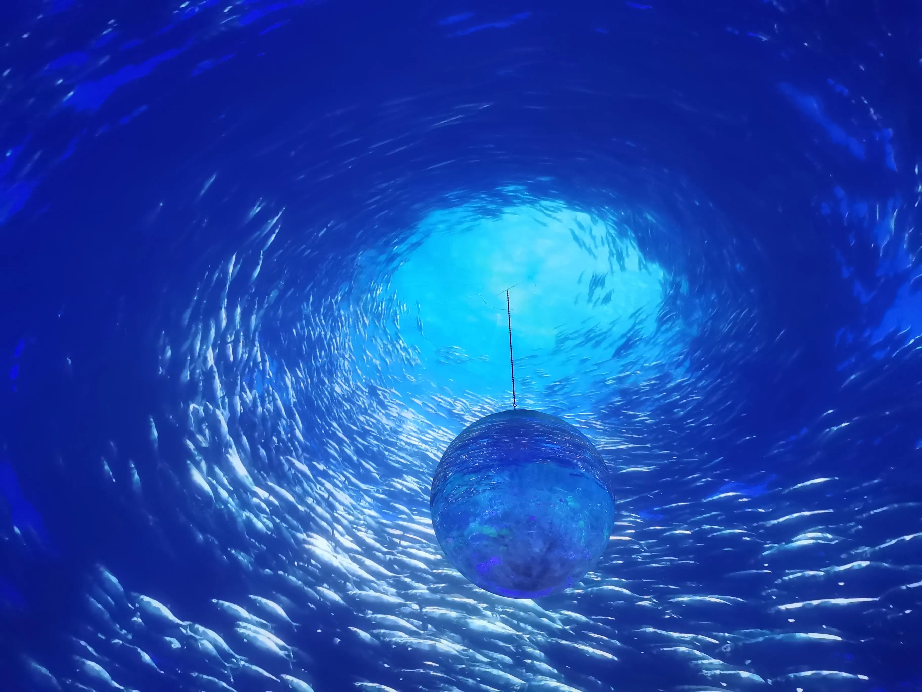 上海海昌公园4d电影好看吗 _晶羽科技