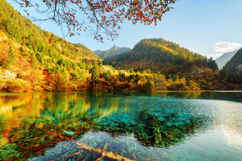 根据湖泊面积和水域资源综合评价，五大淡水湖依次为：鄱阳湖、洞庭湖、太湖、洪泽湖、巢湖。