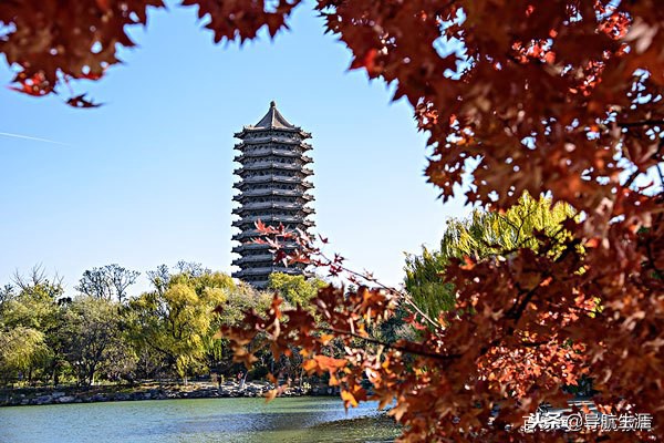 数、理、化、生学科中国十强高校排名，理科生的福利，了解一下